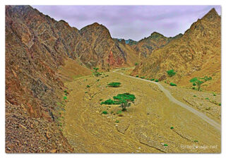 Israel Nahal Shlomo 0001