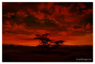 Israel Negev Sunset 0003