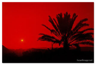 Israel Negev Sunset 0004