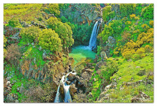 Israel Saar Waterfall 0001