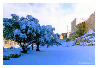jerusalem snow print Jerusalem Snow 0002