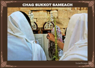 sukkot posters Chag Sukkot Sameach 00024