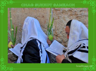 sukkot posters Chag Sukkot Sameach 00026