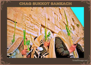 sukkot posters Chag Sukkot Sameach 00039