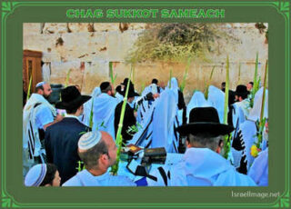 sukkot posters Chag Sukkot Sameach 00044
