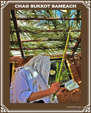 sukkot posters Chag Sukkot Sameach 00053