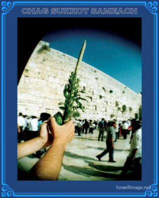sukkot posters Chag Sukkot Sameach 00056