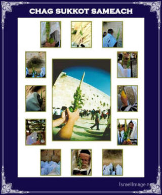sukkot posters Chag Sukkot Sameach 00060