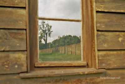 Auschwitz Camp Barracks 0004