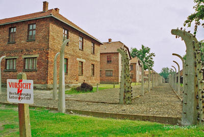Auschwitz Camp Barracks 0013
