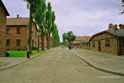Auschwitz Camp Barracks 0015