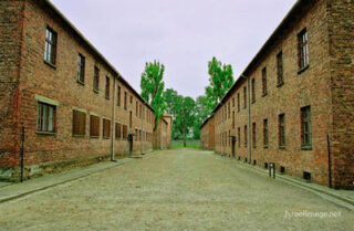 Auschwitz concentration camp Auschwitz Camp Barracks 0016