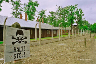 Auschwitz concentration camp Auschwitz Electrified Barbed Wire Fence 0001