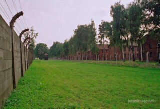 Auschwitz concentration camp Auschwitz Electrified Barbed Wire Fence 0004