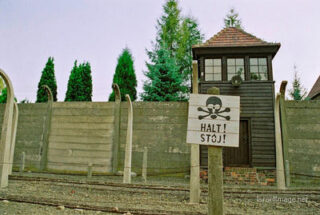 Auschwitz concentration camp Auschwitz Electrified Barbed Wire Fence 0006