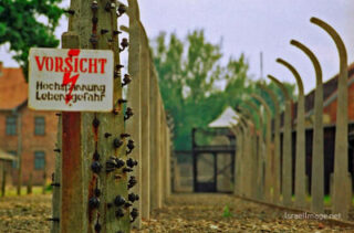 Auschwitz concentration camp Auschwitz Electrified Barbed Wire Fence 0009