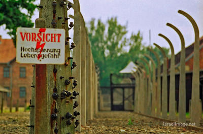Auschwitz Electrified Barbed Wire Fence 0009