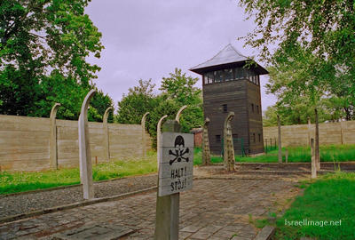 Auschwitz Electrified Barbed Wire Fence 0010