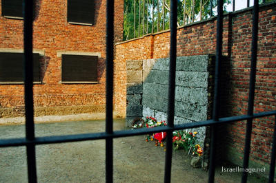 Auschwitz Execution Wall 0003