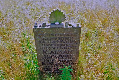 Belsen Jewish Memorial 0010
