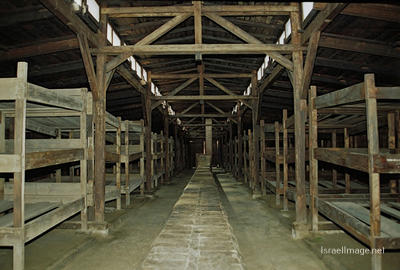 Birkenau Camp Barracks 0002