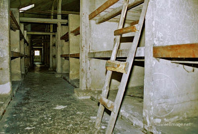 Birkenau Camp Barracks 0014