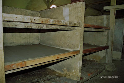 Birkenau Camp Barracks 0017