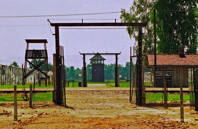 Birkenau Death Route 0001