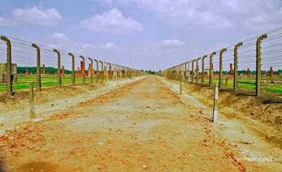 Birkenau Death Route 0004