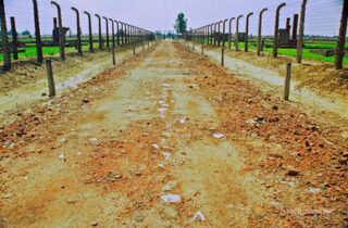 birkenau  concentration camp Birkenau Death Route 0005