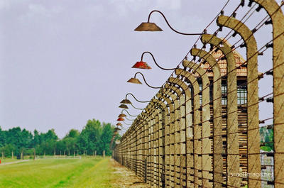 Birkenau Electrified Barbed Wire Fence 0001