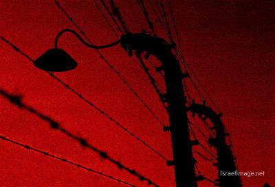 Birkenau Electrified Barbed Wire Fence 0002