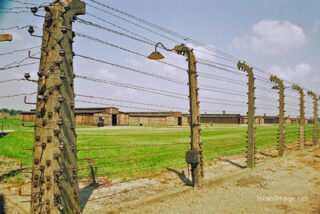 Birkenau Electrified Barbed Wire Fence 0003