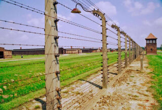 Birkenau Electrified Barbed Wire Fence 0005