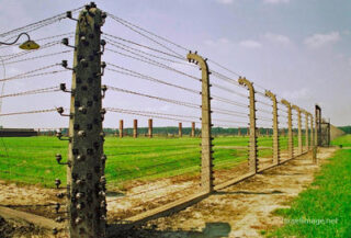 Birkenau Electrified Barbed Wire Fence 0006