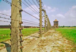 Birkenau Electrified Barbed Wire Fence 0007