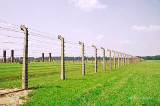 Birkenau Electrified Barbed Wire Fence 0009