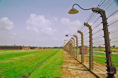 Birkenau Electrified Barbed Wire Fence 0011