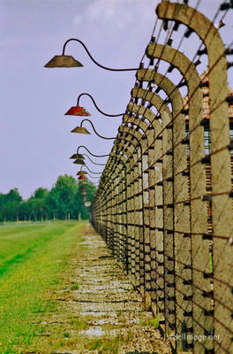 Birkenau Electrified Barbed Wire Fence 0013