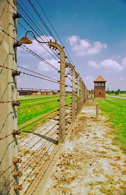 Birkenau Electrified Barbed Wire Fence 0014