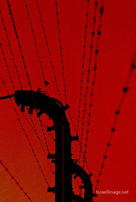 Birkenau Electrified Barbed Wire Fence 0015