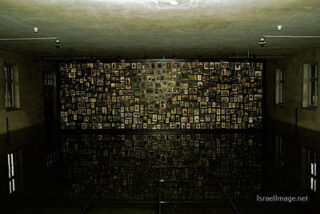 Birkenau Prisoners 0012