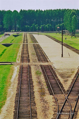 Birkenau Unloading Area At Main Gate 0011