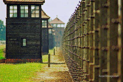 Birkenau Watch Towers 0002