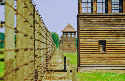 Birkenau Watch Towers 0007