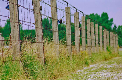Dachau Barbed Wire Fence 0001
