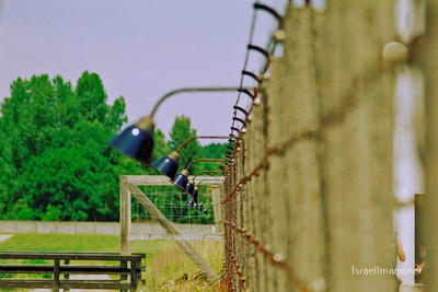 Dachau Barbed Wire Fence 0008