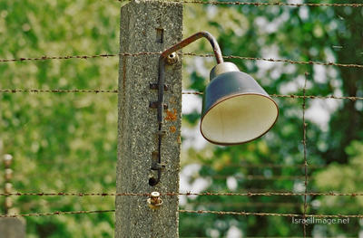 Dachau Barbed Wire Fence 0011