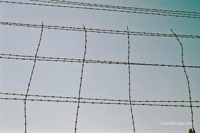 Dachau Barbed Wire Fence 0013