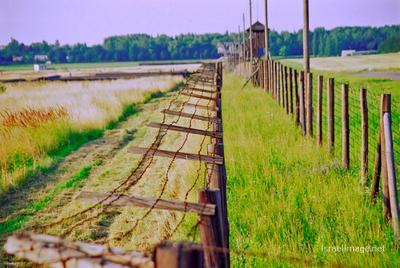 Majdanek Barbed Wire Fence 0001